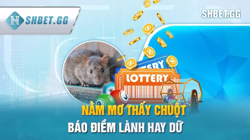 Nằm mơ thấy chuột điềm báo gì? Giải mã giấc mộng chi tiết 3 Nằm mơ thấy chuột báo điềm lành hay dữ